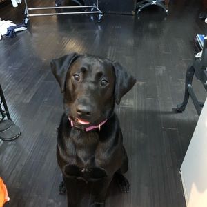 Meet your Posher, Kara